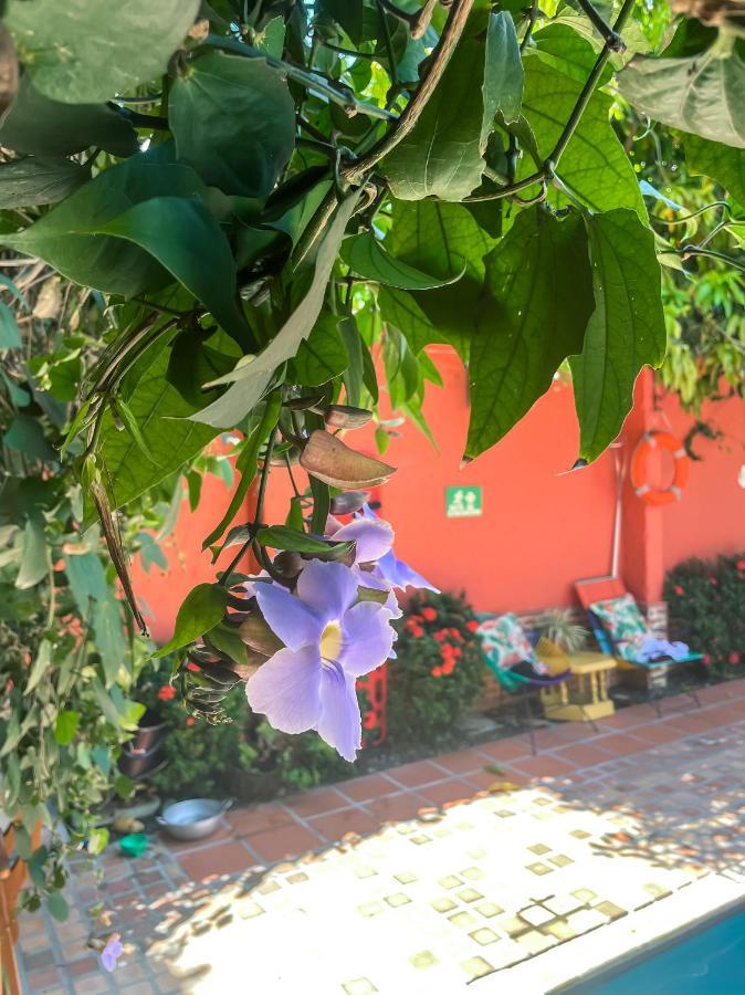 Hotel Casa De Verano - Solo Adultos - ซานตาเฟเดอันตีโอเกีย ภายนอก รูปภาพ